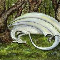 sleepydragon