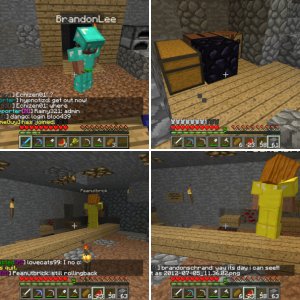 report on bradonlee!