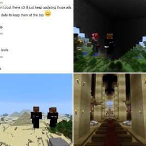 Joels Album of Any pictures He takes!