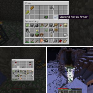 Rustayy 1.6 Survival