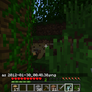 2012-01-30_00.48.32.png