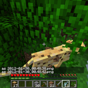 2012-01-30_00.48.44.png