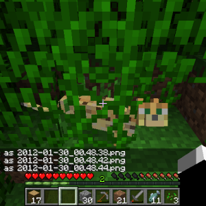 2012-01-30_00.48.45.png