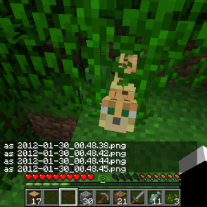 2012-01-30_00.48.46.png
