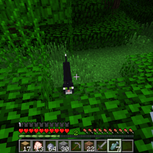 2012-01-30_01.10.11.png
