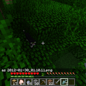 2012-01-30_01.10.18.png