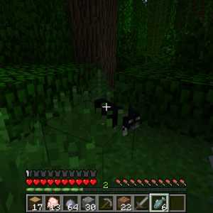 2012-01-30_01.10.42.png