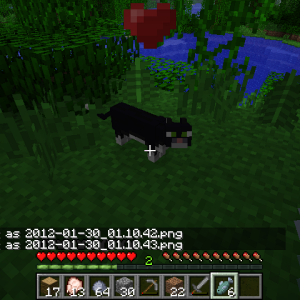 2012-01-30_01.10.45.png