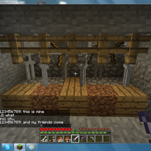 MC album pic2.png