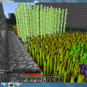 MC album pic4.png