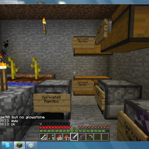 MC album pic6.png