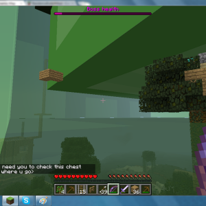 MC album pic 23.png