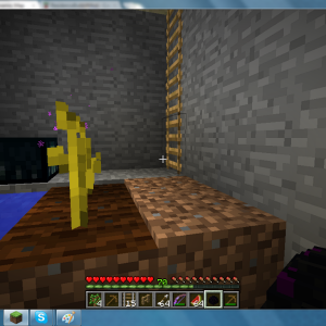 MC album pic25.png
