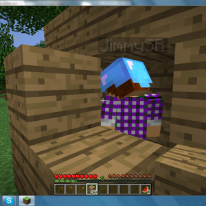 MC album pic30.png