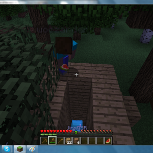 MC album pic32.png