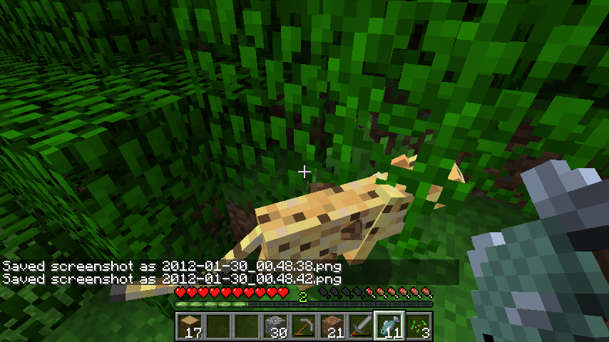2012-01-30_00.48.44.png