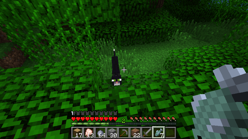 2012-01-30_01.10.11.png