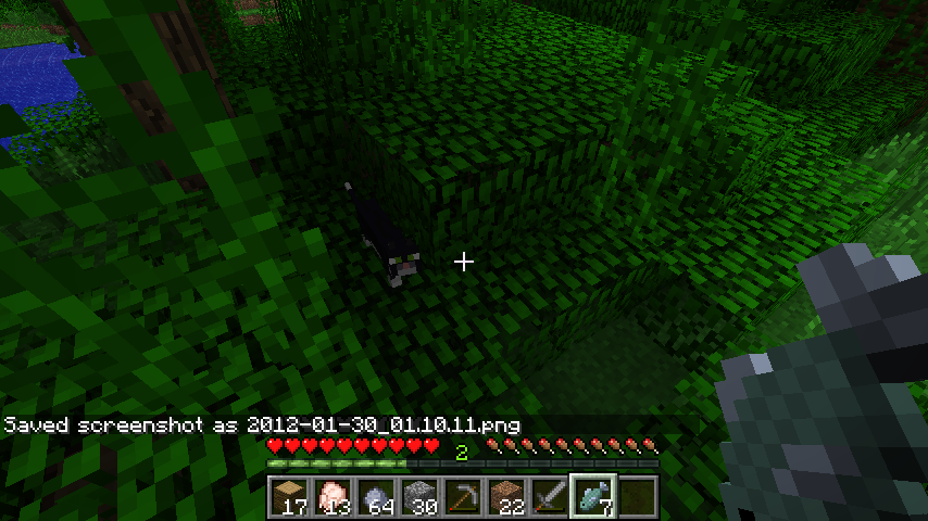 2012-01-30_01.10.18.png