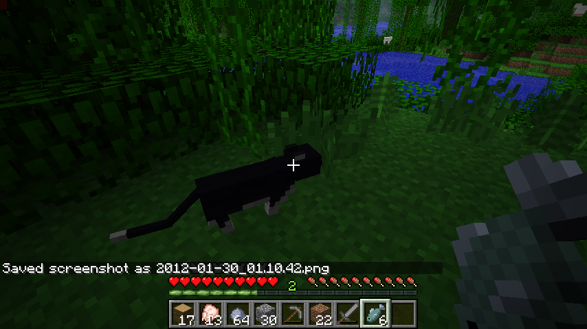 2012-01-30_01.10.43.png