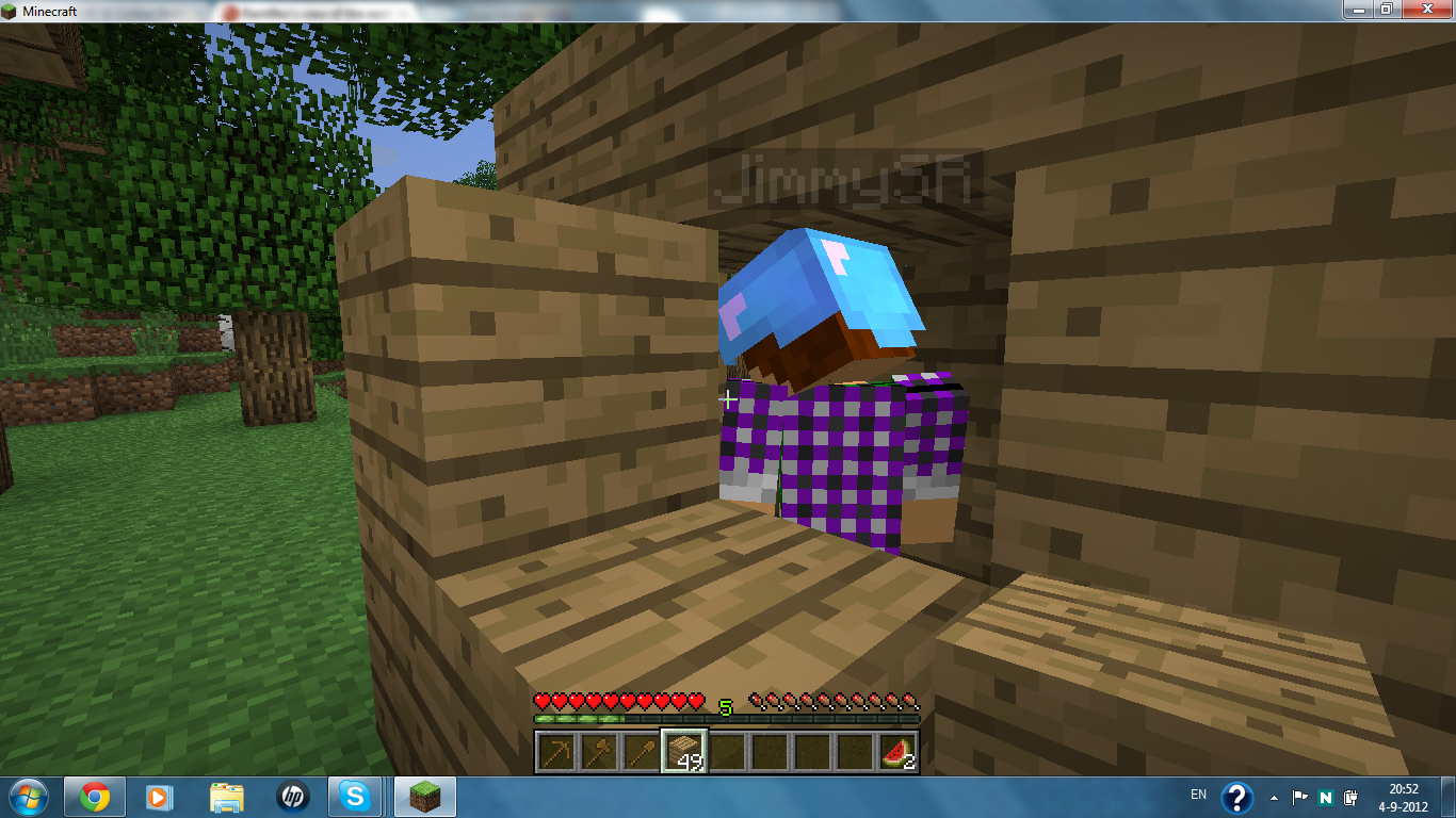 MC album pic30.png