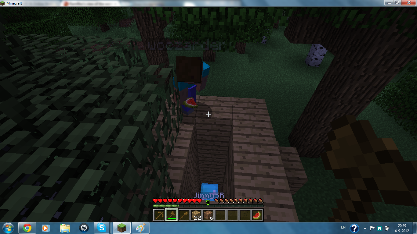 MC album pic32.png