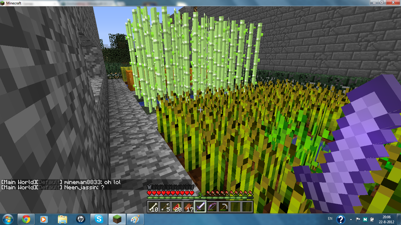 MC album pic4.png